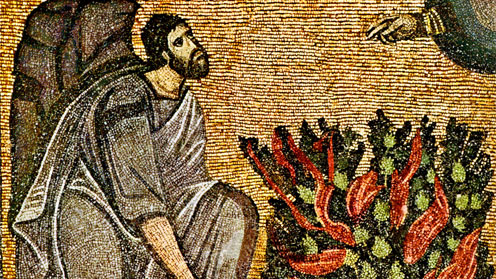 Burning Bush Mosaic